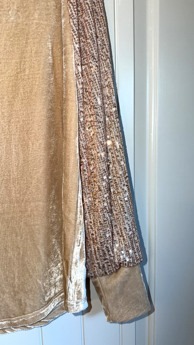Mystree Womens M Champagne Velvet Sequin Sleeve Party Holiday Blouse Top NWT